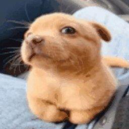 pweuo