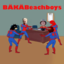 BÄKÄBeachboys