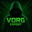 Vorg Esport