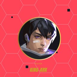 ark_new
