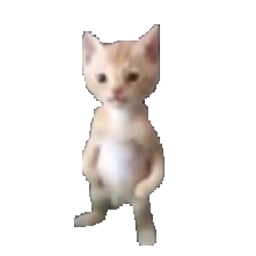 peraspoop