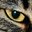 Sytax_