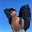 BardockRP#