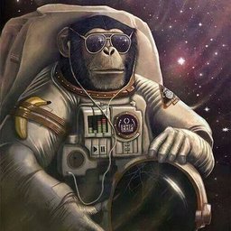 Earth_Meister