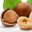 Hazelnuts
