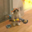 Niko#569