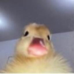 Tearfuleyes