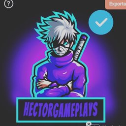 HectorGamePlays357 ?