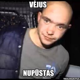 TomasSelbis