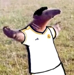 Flávio021