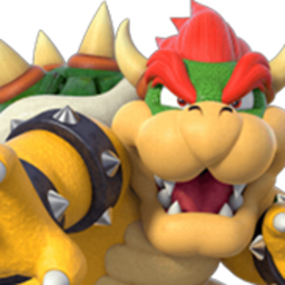 Bowser#1164