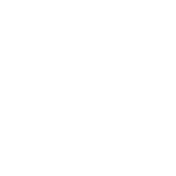 I.B.N.A.