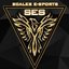 Scales E-Sports (was deleted at: 2021-10-10T13:11:42.3300163Z)