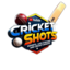 CRICKET_SHOTS