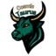 Cosmic Coven Taurus (was deleted at: 2025-04-21T20:37:49.7308848Z)
