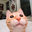 faze_foxaa