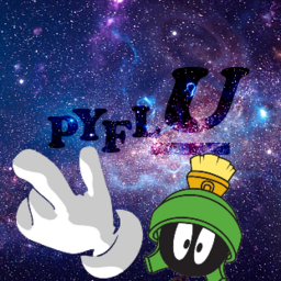 PYFLU MeinerRobin