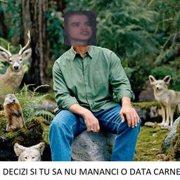 AndreiMuntean