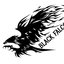 Black Falcon #1