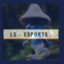 L$-Esport