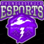 ThunderStruck-esports (was deleted at: 2019-09-19T15:45:26.6710508Z)