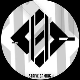 Strive Gaming