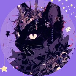 Gatito sem dono