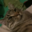 dave.071#