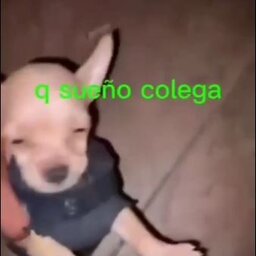 Tinder