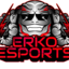 ERKO Esports Academy