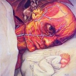 Doktor úr