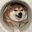 CHONK