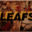 leafs-V