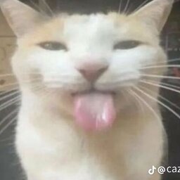 Mackexdxdxd