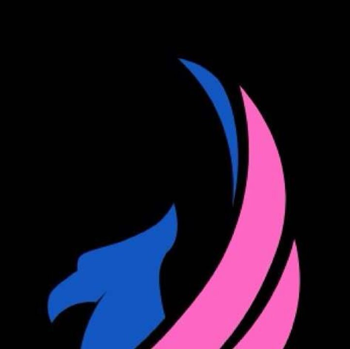 AMT ESPORTS on Instagram: "Hello everyone, this is our official Instagram , here we will make posts about player signings!

________________________________________________

#twitter #instagram #team #esports #fornite #blizzard #steam #desing #eu"