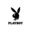 playboy materials