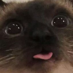 Mine