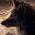 Wolfbitee