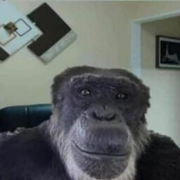 yK.