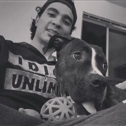 indominho