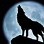 Gray Wolves