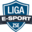 Liga E-sport Zespołu Szkół Elektronicznych