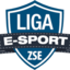 Liga E-sport Zespołu Szkół Elektronicznych