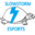 Slowstorm