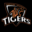 AUC Tigers