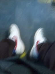 pplinhamas8
