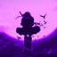 xo_plluug