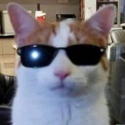 Kacii