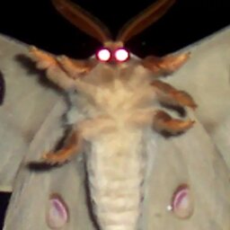 GarageMolth