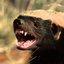 RateL-Esport